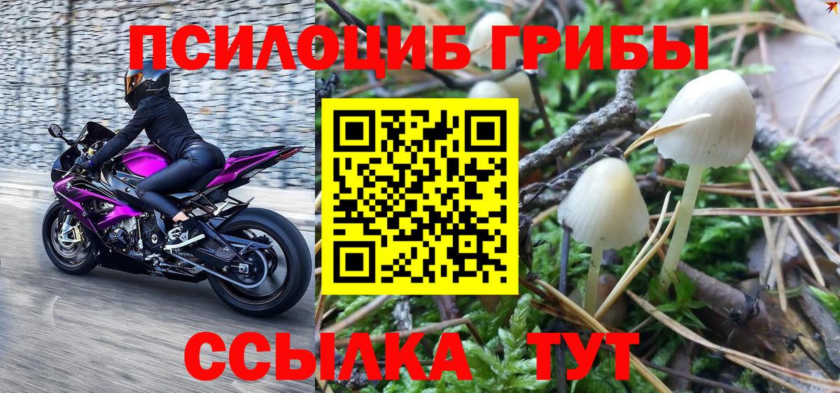 Благодарный  Галлюциногенные грибы прущие грибы  закладка  Вход с VPN 